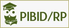 www.pibidrp.uneb.br